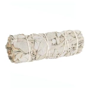 ATADO DE SALVIA BLANCA 10-11 CMS